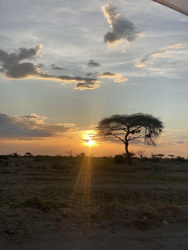 Breathwork Safari 4